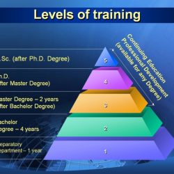 Training level test 1 2023