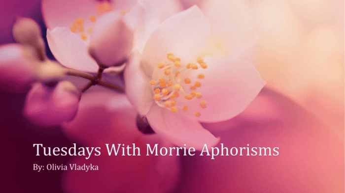 Aphorisms in tuesdays with morrie with page numbers