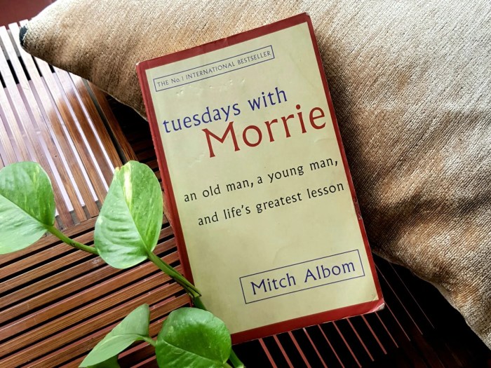 Aphorisms in tuesdays with morrie with page numbers