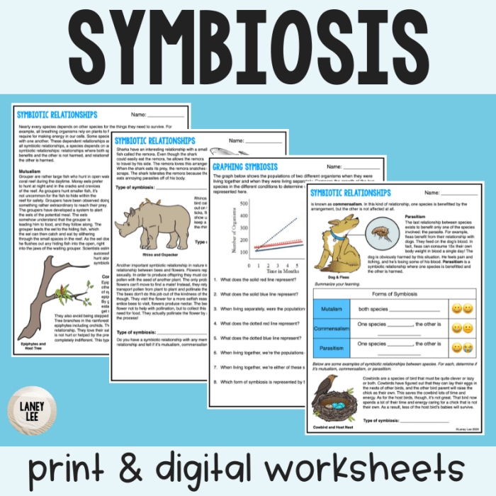 Which symbiosis is it worksheet answer key