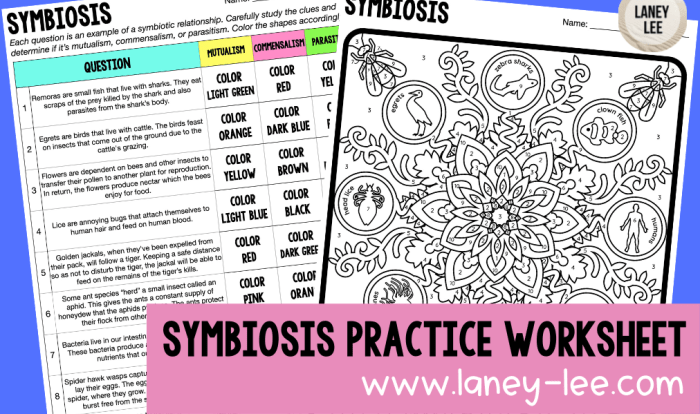 Which symbiosis is it worksheet answer key