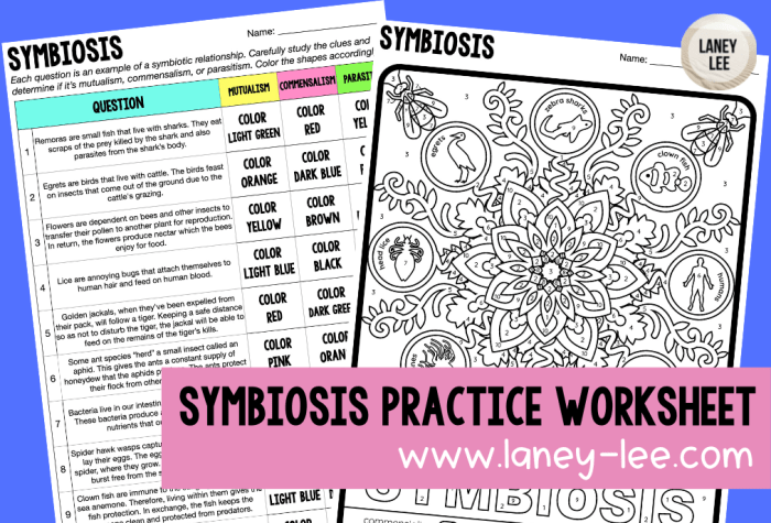 Which symbiosis is it worksheet answer key