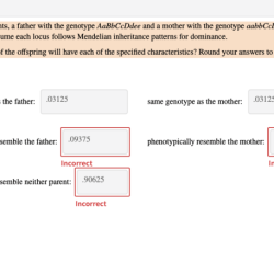 Dominant trait traits determine genotype heterozygous offspring homozygous phenotype recessive allele characteristics organism mendel cuny crossed resulting homozygote performed expressing